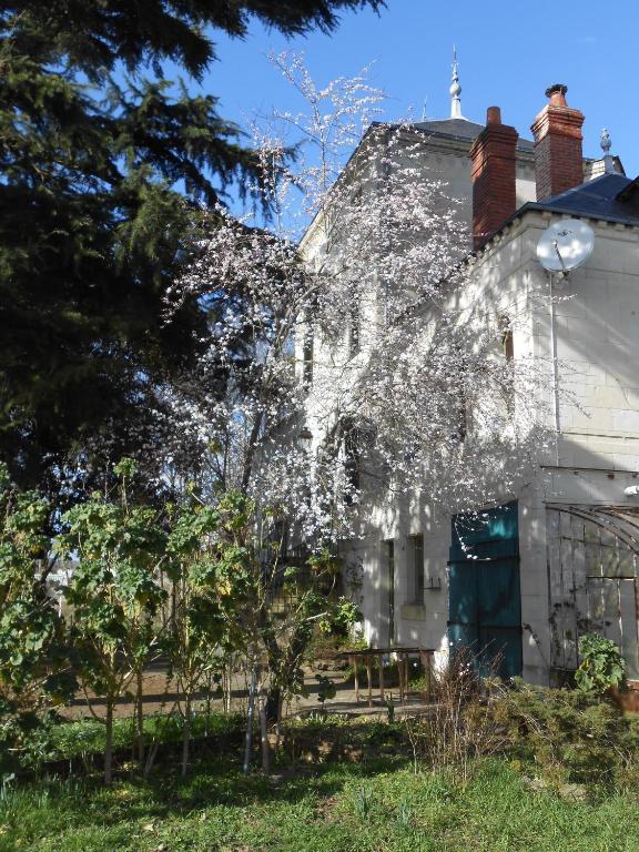 Clos Du Bois Brard B&B Saumur Eksteriør bilde